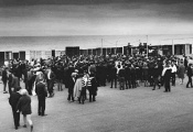 Searchers at Redcar